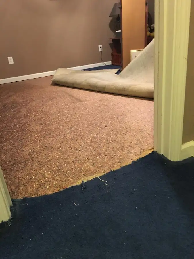 Carpet pad removal revealing water damage during Water Mitigation Services in Lowell